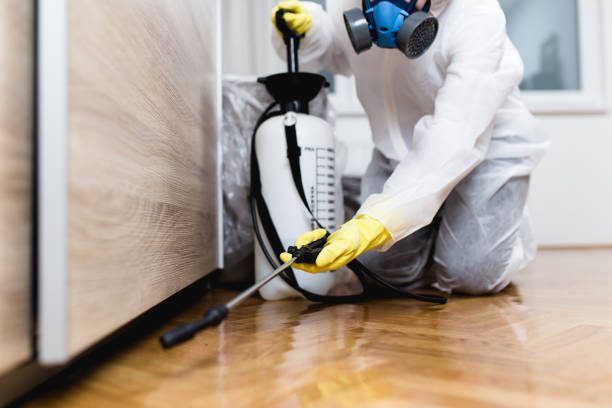 Best Best Pest Control Companies  in Five Forks, SC