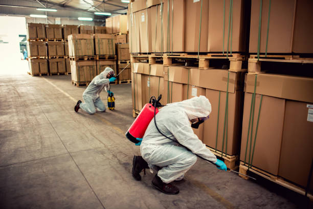 Best Residential Pest Control  in Five Forks, SC