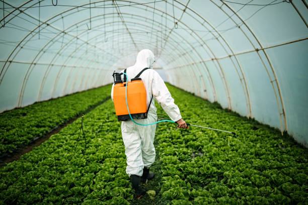 Best Local Pest Control Services  in Five Forks, SC
