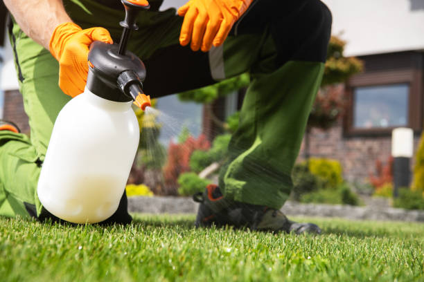 Best Affordable Pest Control Services  in Five Forks, SC