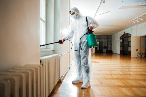 Best Flea Control Services  in Five Forks, SC