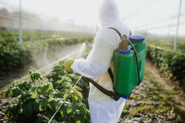 Best Pest Prevention Services  in Five Forks, SC